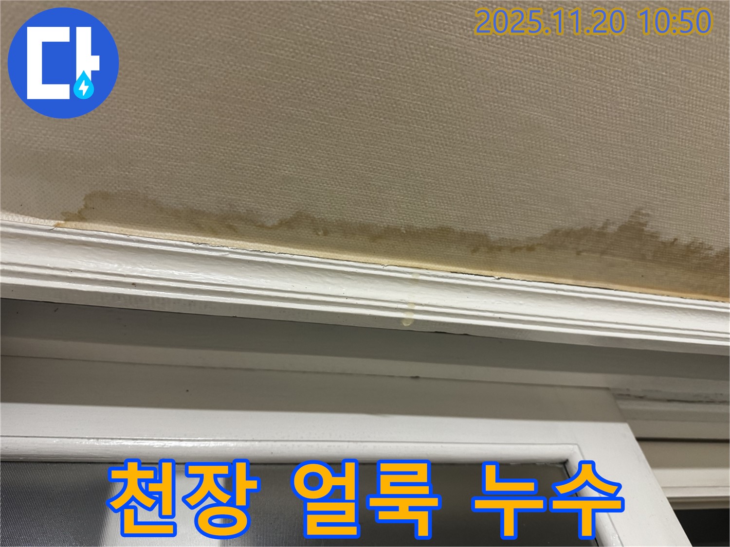 천장 얼룩 - 계속 번짐 - 빠른 진단