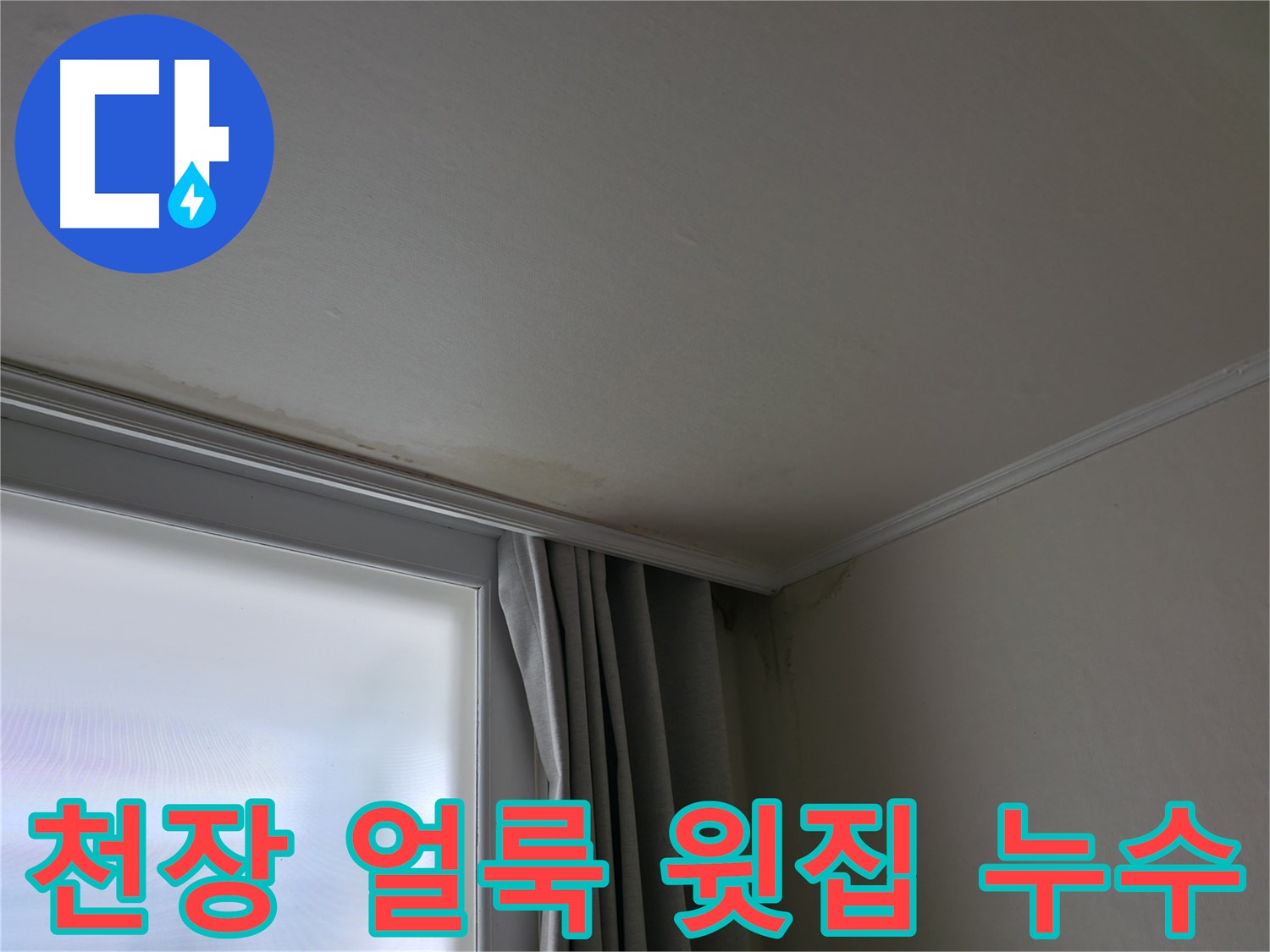천장 얼룩 - 윗집 누수 긴급 점검 필요