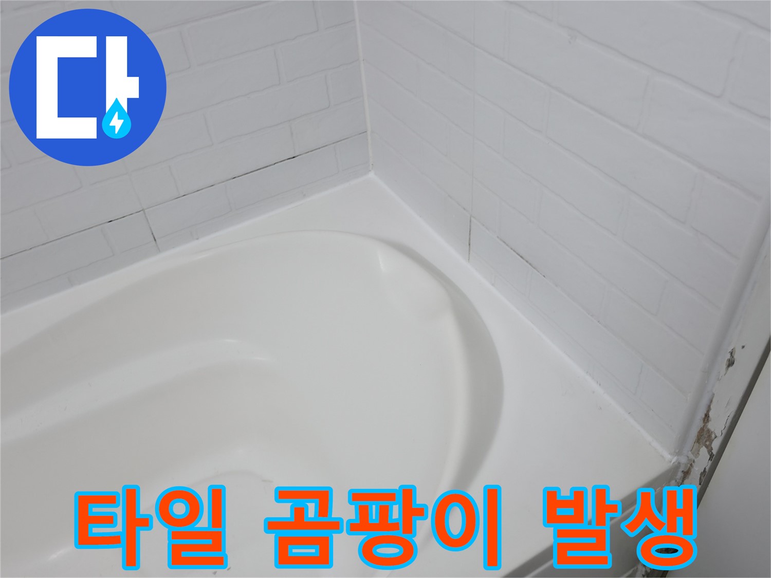 타일 곰팡이 - 누수의 신호일 수 있습니다.