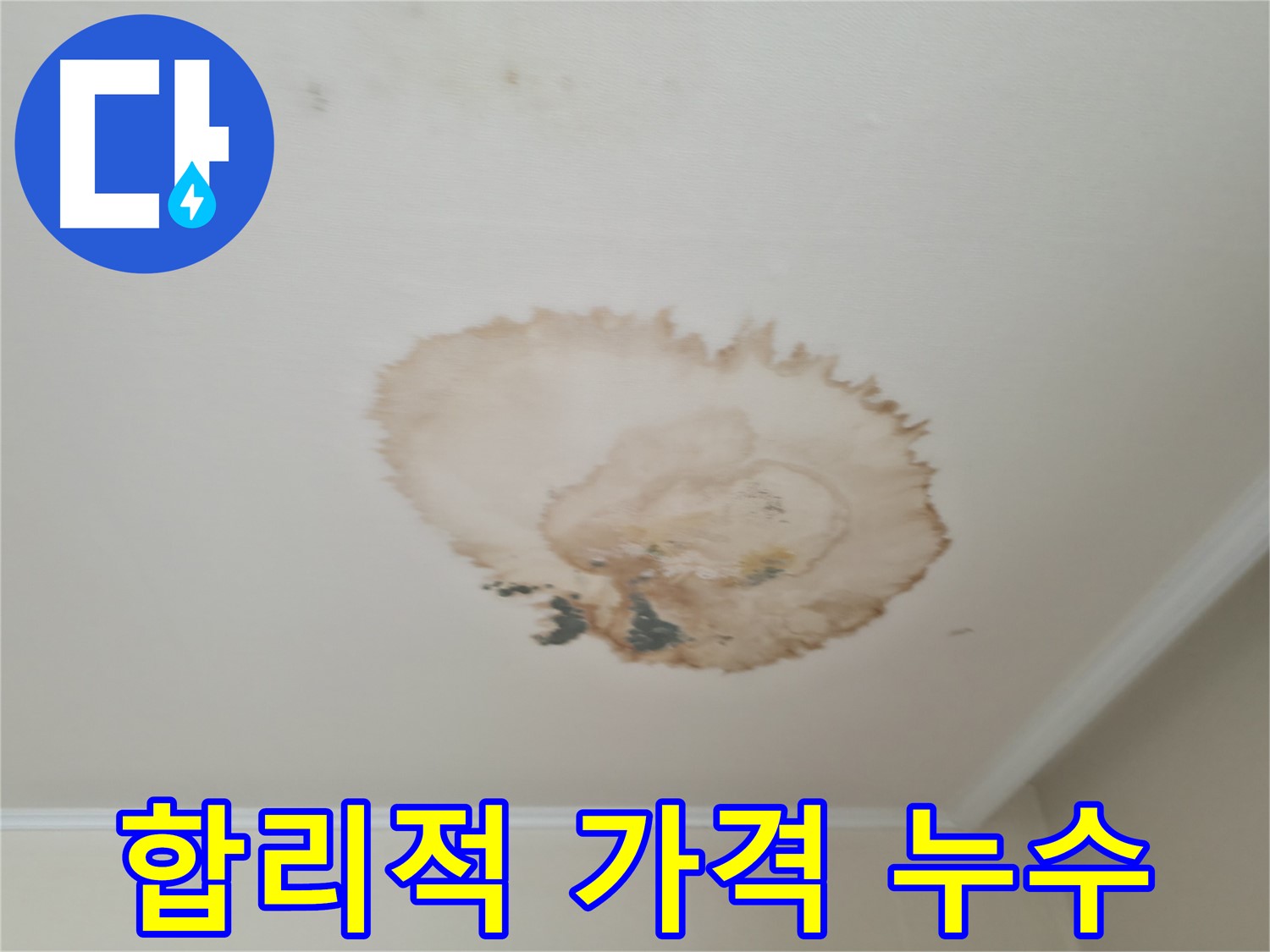 합리적인 비용 - 확실한 누수 해결 - 서대문구 누수