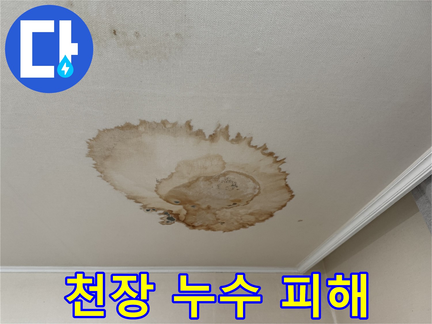 홍제1동 천장 누수 - 누수로 인해 변색된 천장
