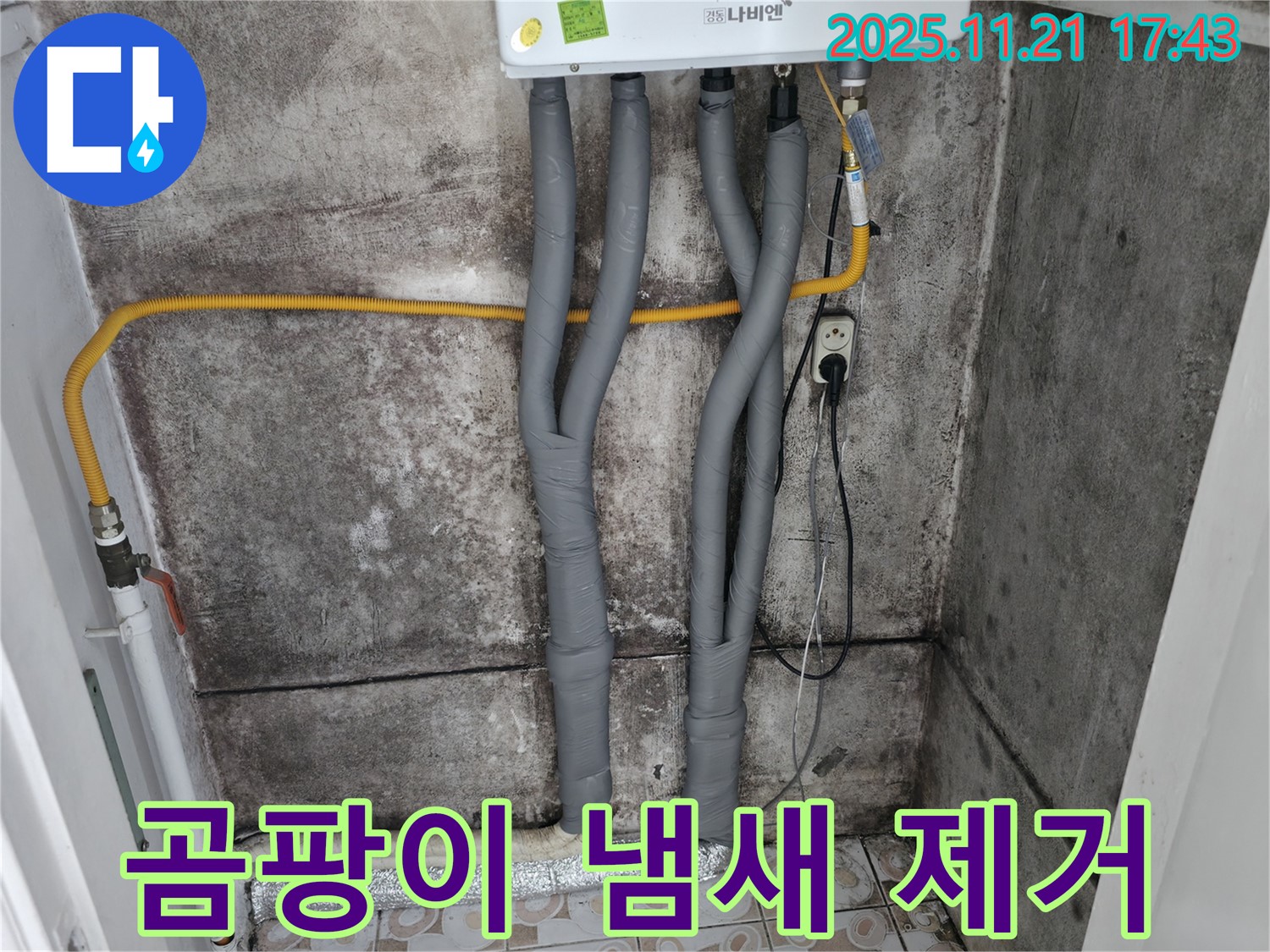 홍제2동 곰팡이 냄새 - 서대문구 쾌적한 실내