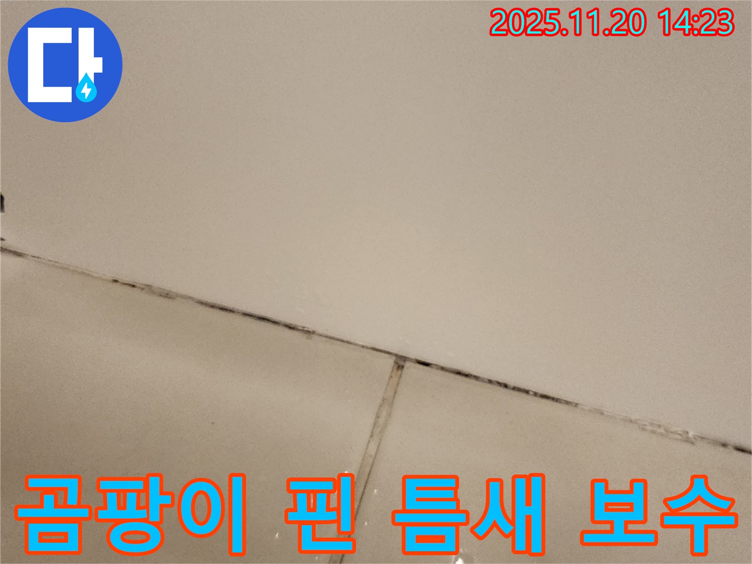 가산면 곰팡이 핀 타일 틈새 - 완벽 보수 과정