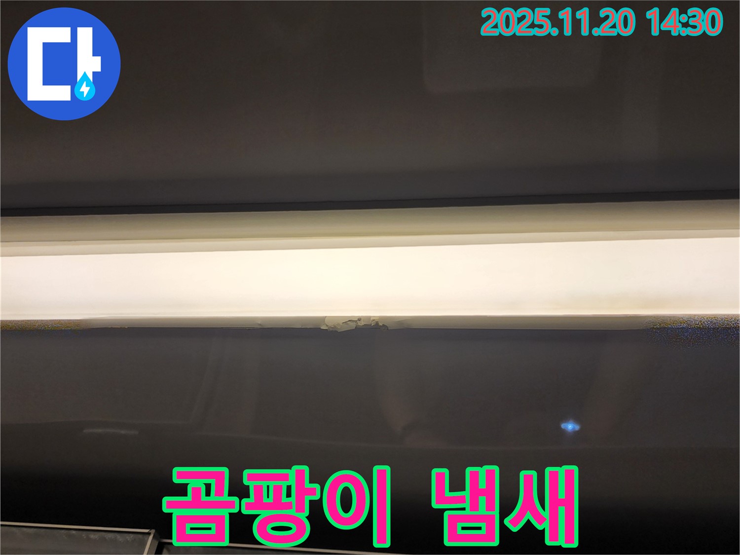 곰팡이 냄새 - 건강에 해로운 누수