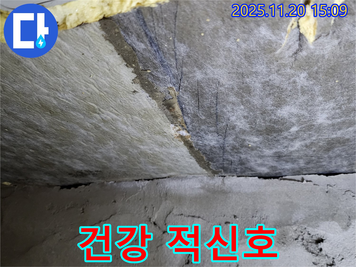 곰팡이 서식 - 젖은 단열재 - 건강 적신호!