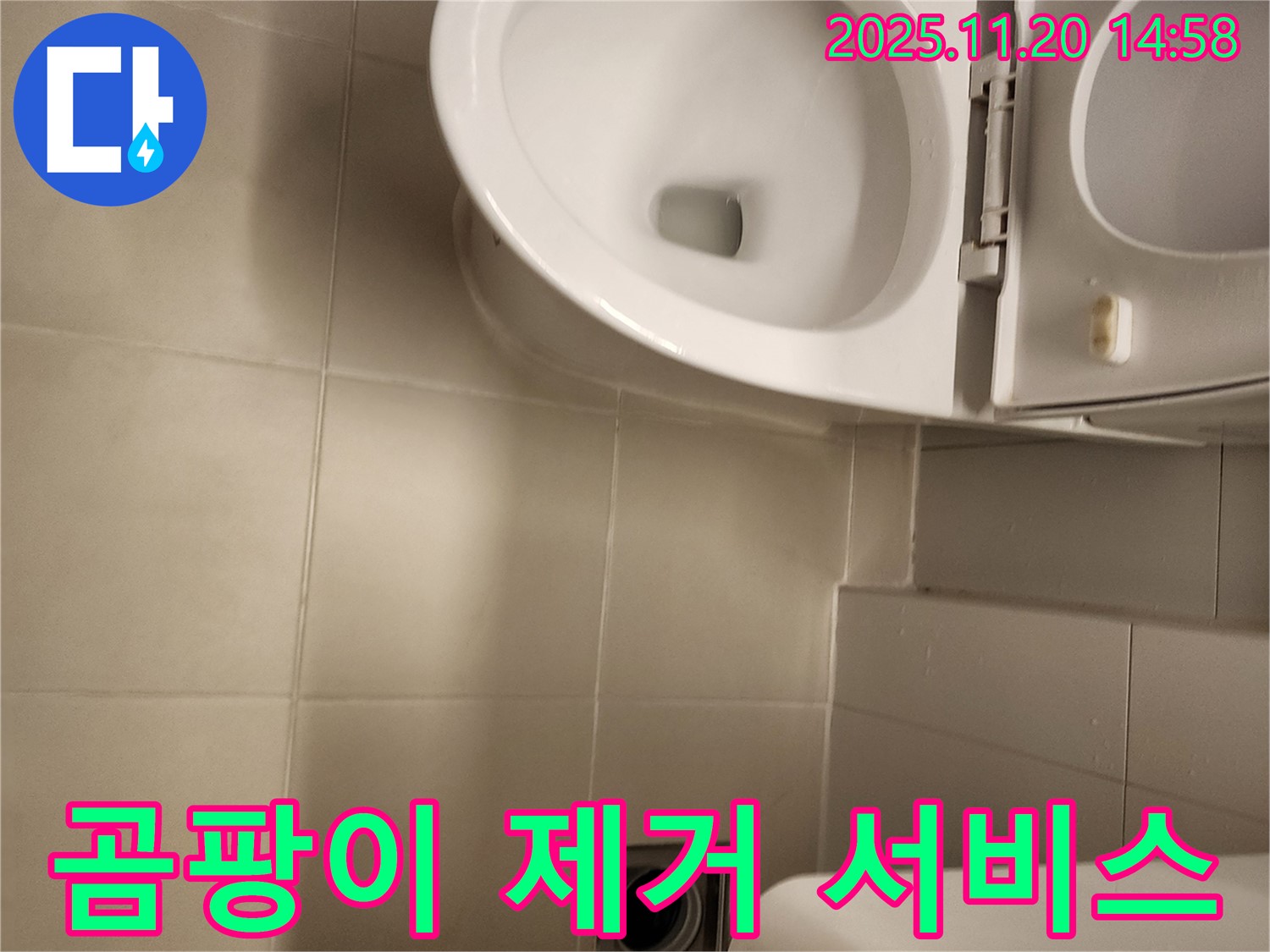 곰팡이 제거 서비스 - 포천 가산 누수 전문가의 청결 유지
