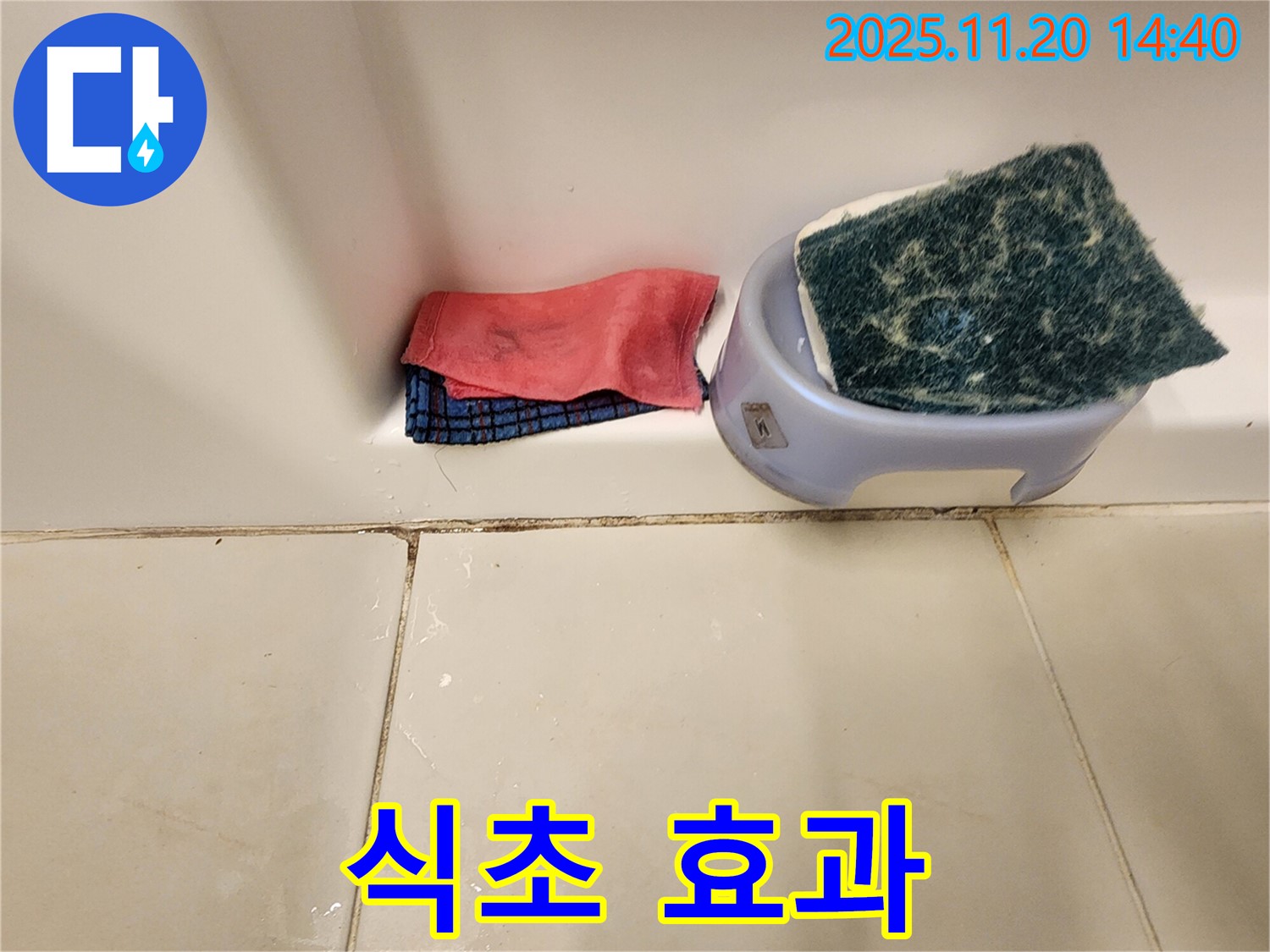 곰팡이 제거 - 식초, 효과가 있을까요? 약한 곰팡이에 효과적입니다.