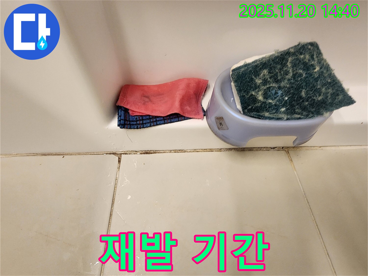 곰팡이 제거 후 - 곰팡이 재발, 얼마나 걸릴까요?