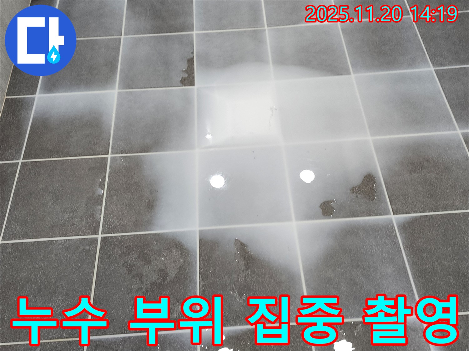 누수가 발생한 타일 부위를 자세히 촬영한 사진입니다 - 문제의 심각성을 보여줍니다.