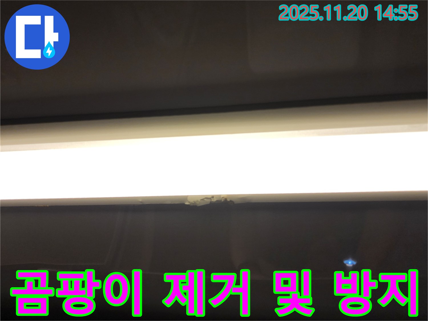 석고보드 곰팡이 제거 및 재발 방지 - 꼼꼼한 시공