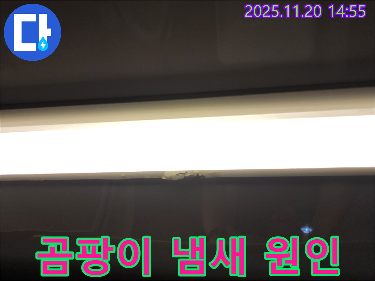 석고보드 교체 후 곰팡이 냄새 - 누수 재발 의심, 정밀 점검