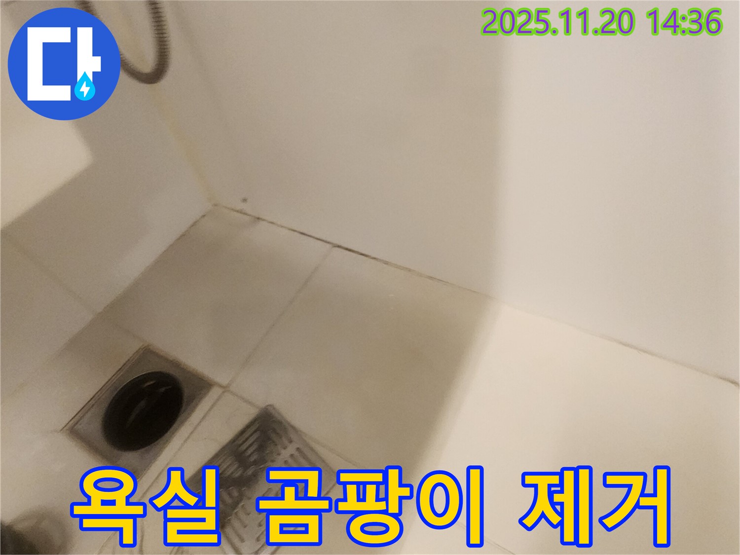 욕실 곰팡이 제거 - 포천 마산리 누수탐지 전문 업체에서 깨끗하게!