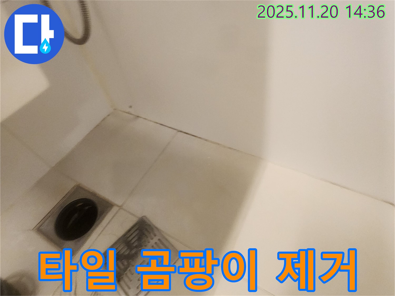 욕실 타일 곰팡이 제거 - 포천 가산면 마산리 누수, 깨끗하게!