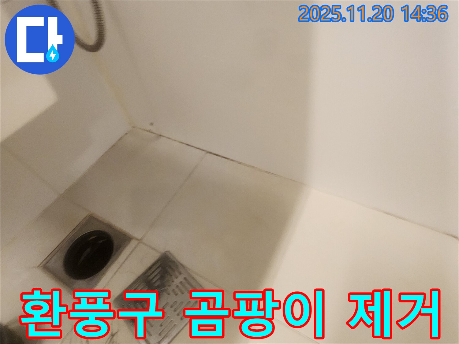 욕실 환풍구 곰팡이 제거 및 항균 처리 - 포천 가산면 마산리 누수, 쾌적하게!