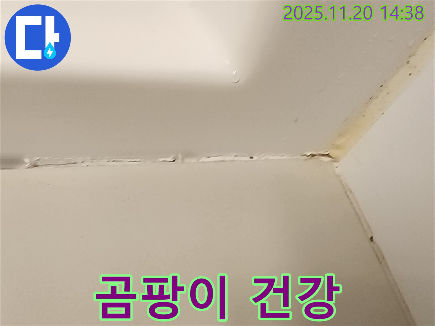 욕조 실리콘 - 곰팡이 건강에 안좋음