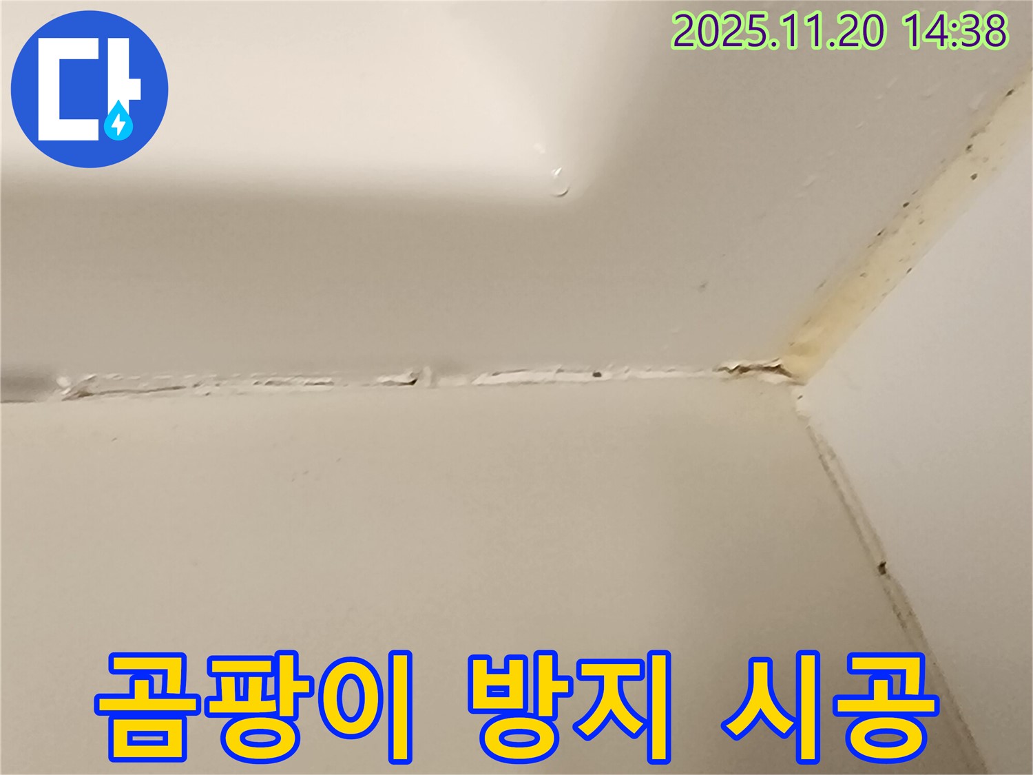 욕조 실리콘 - 곰팡이 방지