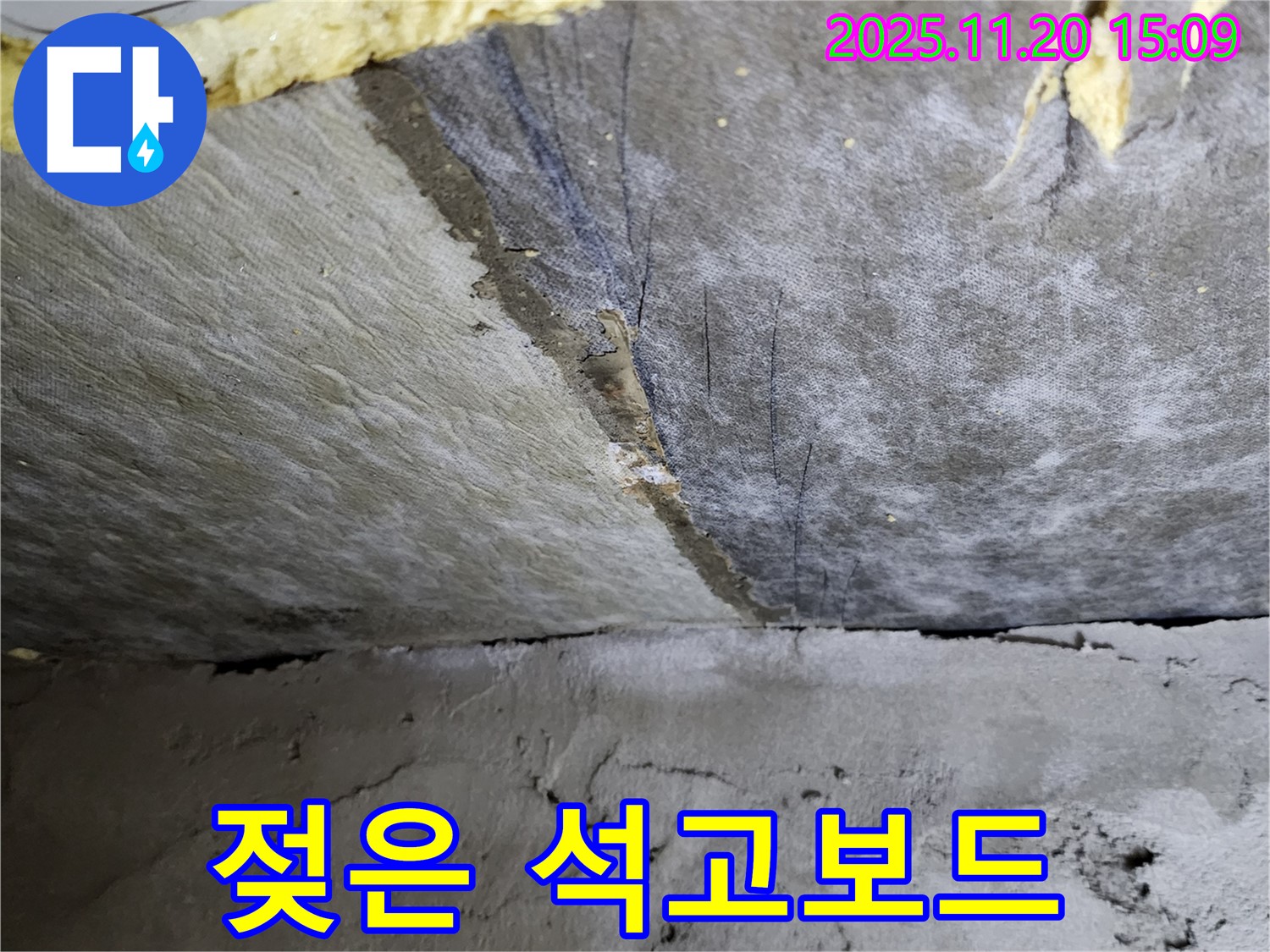 젖은 석고보드 - 젖어있는 석고보드 - 곰팡이 확산 위험