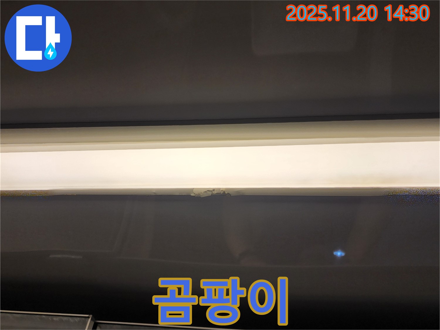 창문 상단 곰팡이 - 누수 의심