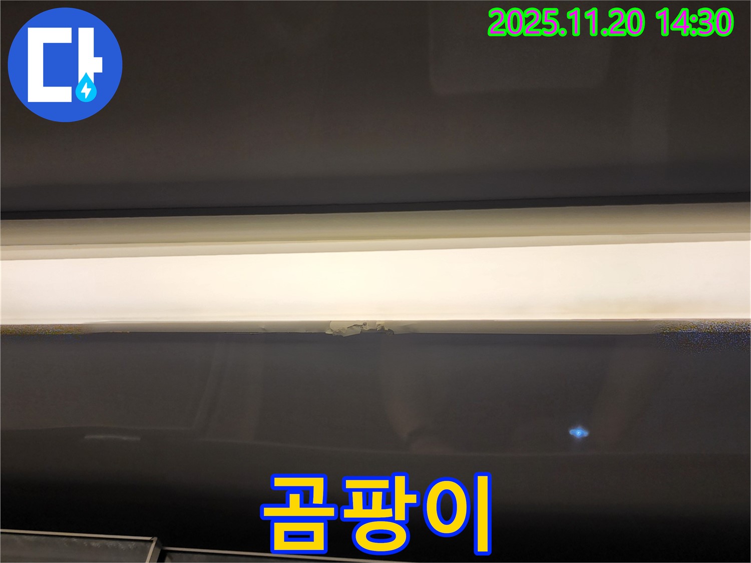 창문 상단 곰팡이 - 누수 의심
