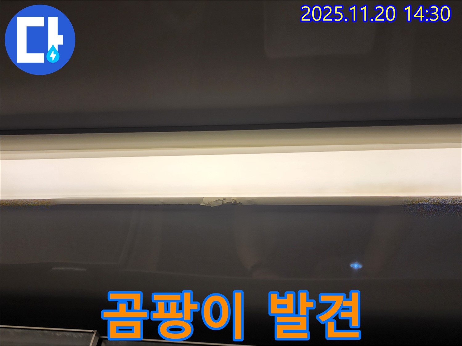 창문 상단 곰팡이 - 누수 초기 증상, 빠른 진단