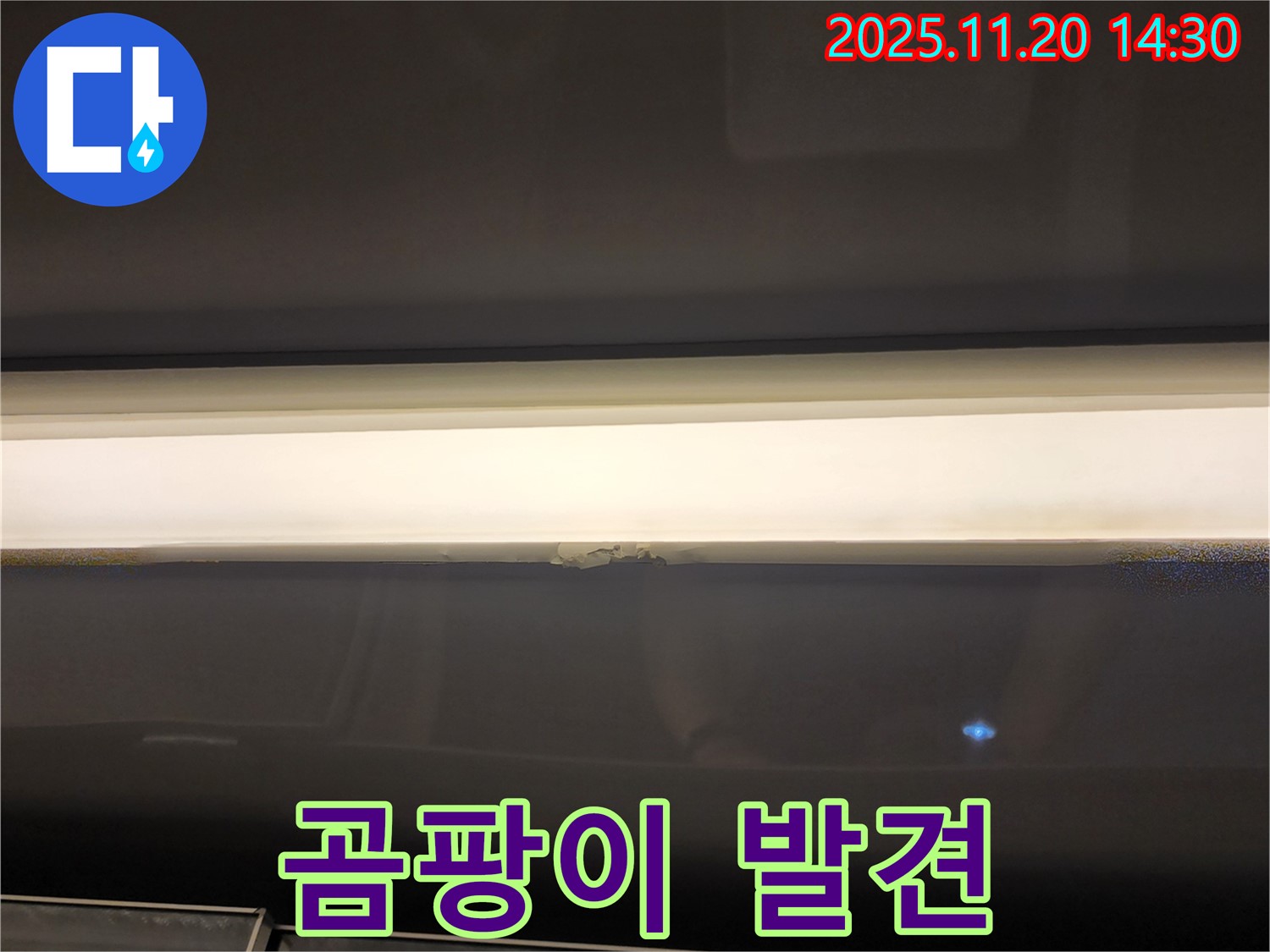 창문 상단 곰팡이 - 누수 초기 증상, 신속 해결