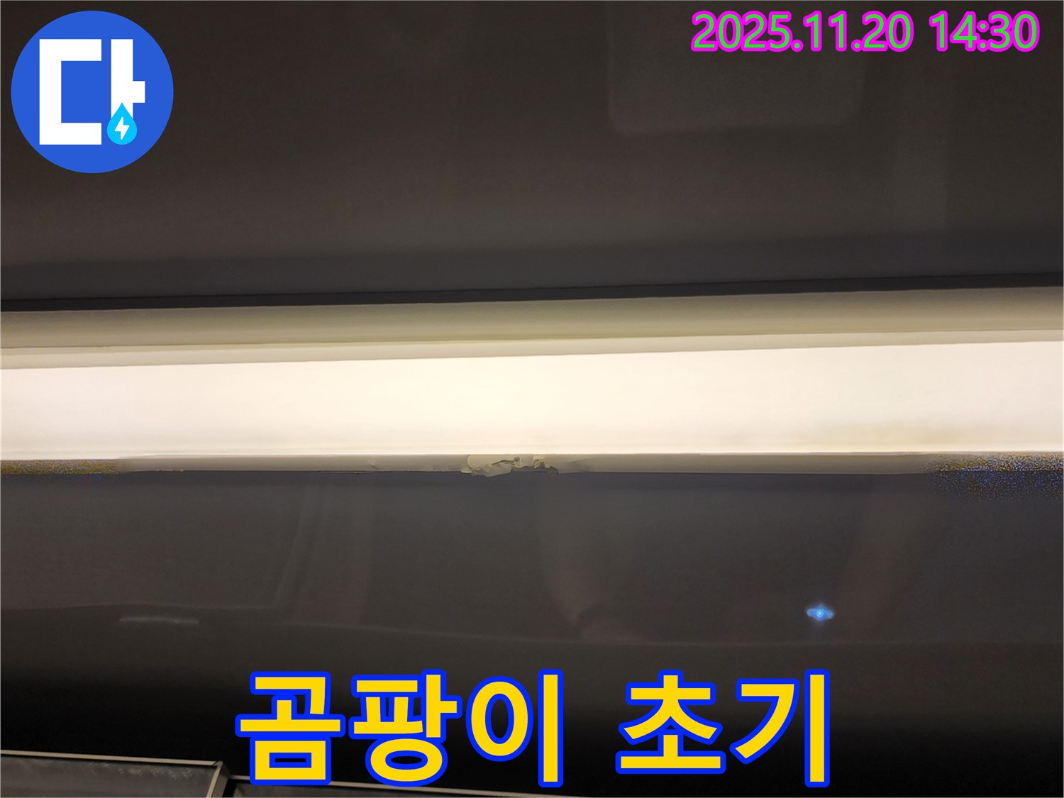 창문 상단 누수 - 곰팡이 초기 발견, 완벽 해결