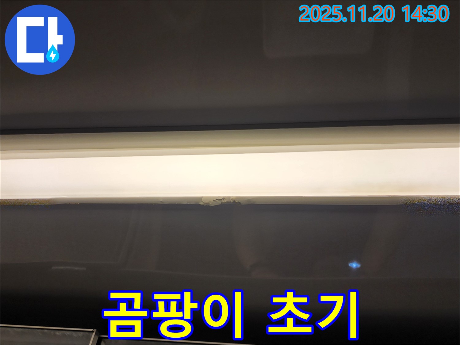 창문 윗부분 곰팡이 - 초기 발견, 빠른 조치