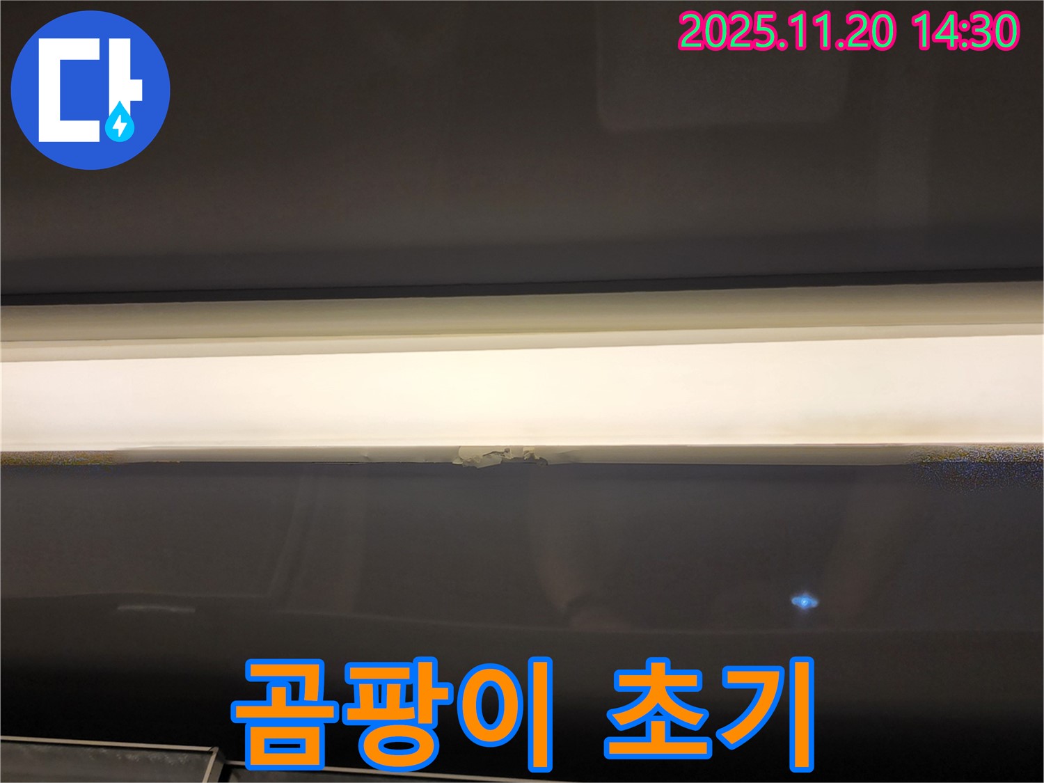창문 윗부분 누수 - 곰팡이 초기 발견, 완벽 조치