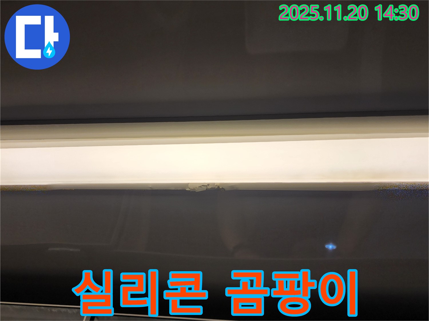 창문 윗부분 누수 - 실리콘 곰팡이, 건강 위협