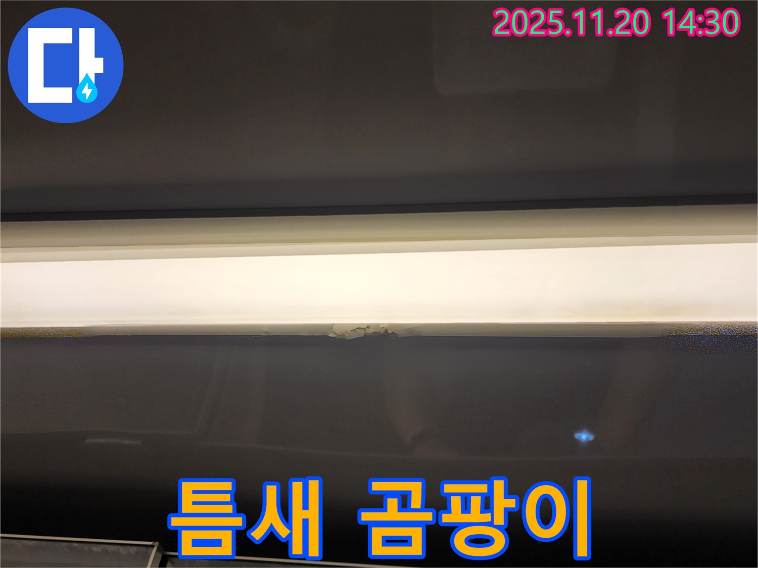 창문 틈새 곰팡이 - 건강 위협