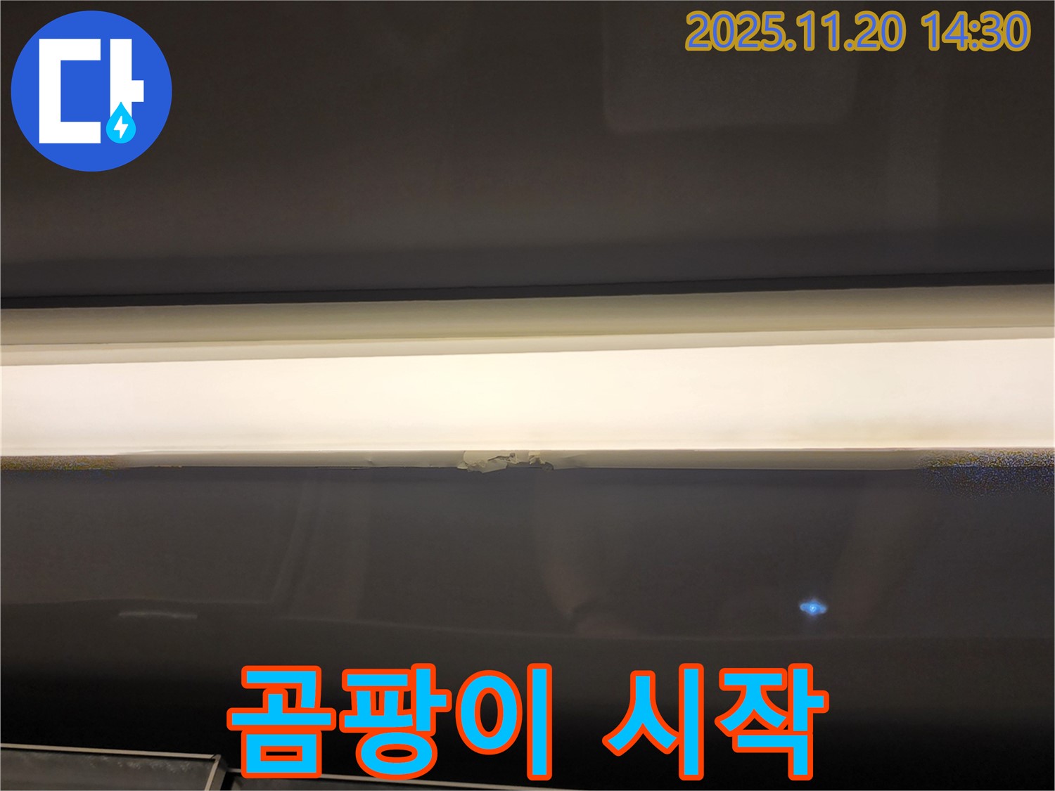 창문 틈새 누수 - 곰팡이 시작, 초기 대응