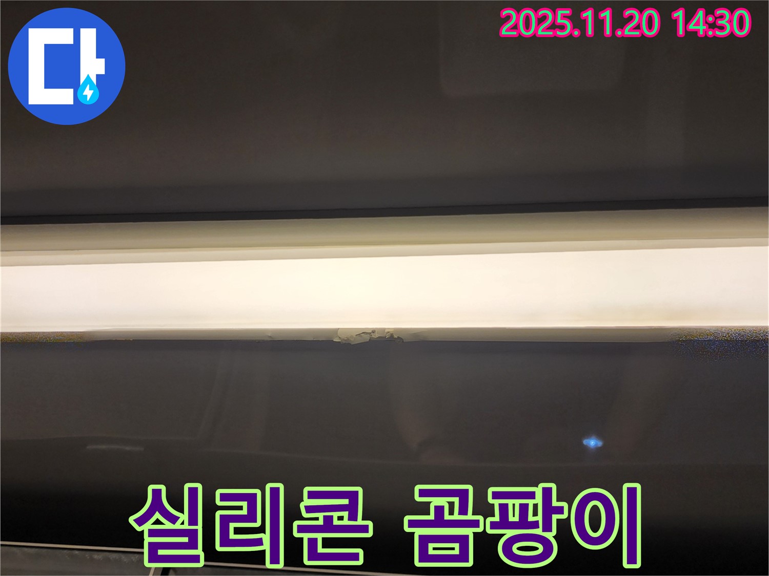 창틀 실리콘 곰팡이 - 건강 위협, 빠른 해결