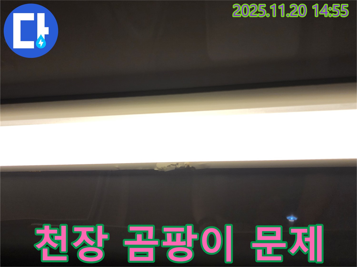 천장 곰팡이 문제 - 누수 원인 파악 및 곰팡이 제거