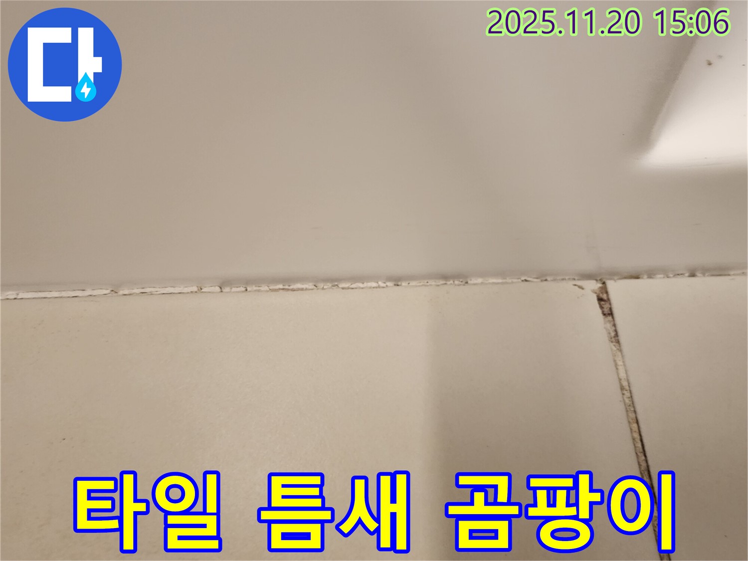 타일 틈새 누수 - 곰팡이 제거