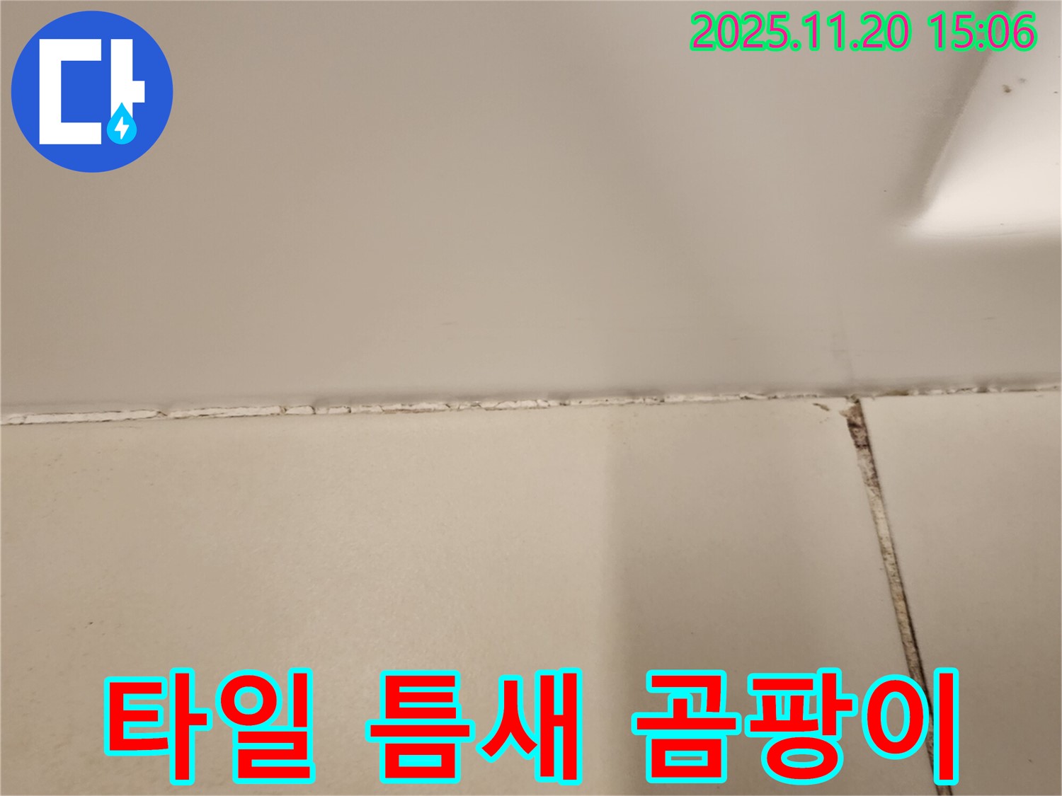 타일 틈새에 곰팡이가 심하게 발생 - 누수 의심