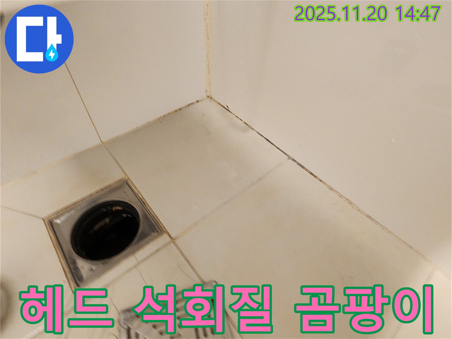 포천 가산 샤워기 헤드 - 샤워기 헤드 연결 부위에 석회질과 곰팡이가 있어 누수 점검합니다.