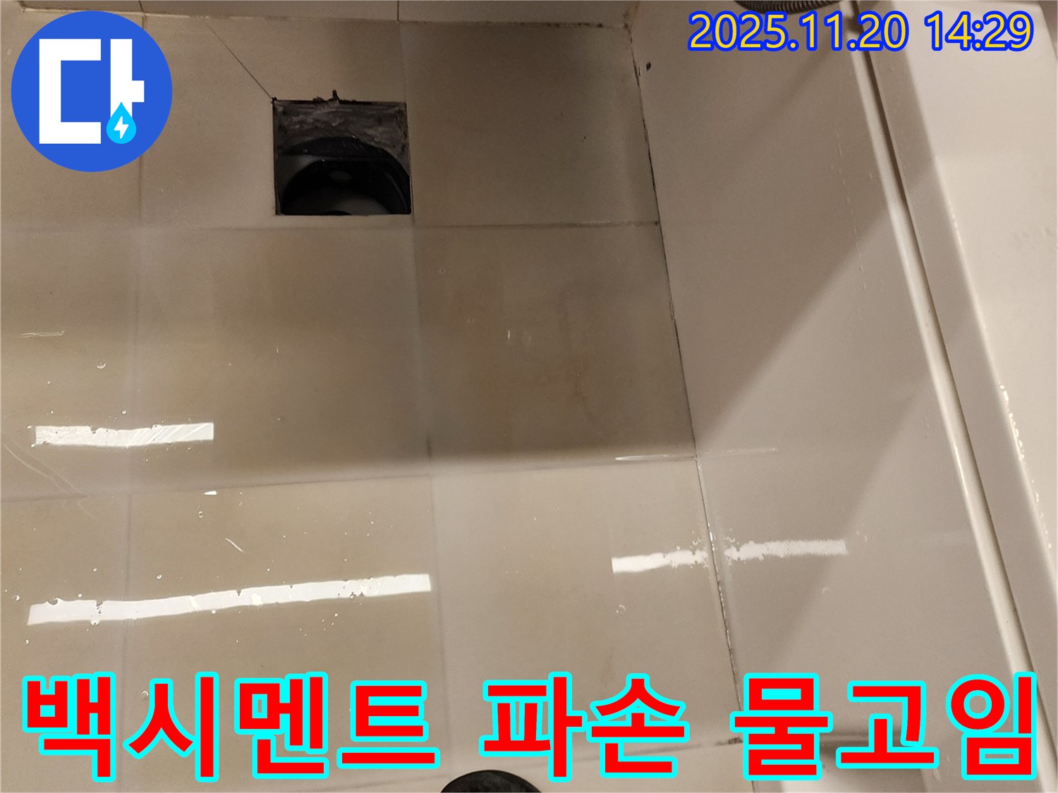포천 가산 욕실 배수구 누수 - 백시멘트 파손 및 물고임 상태 점검