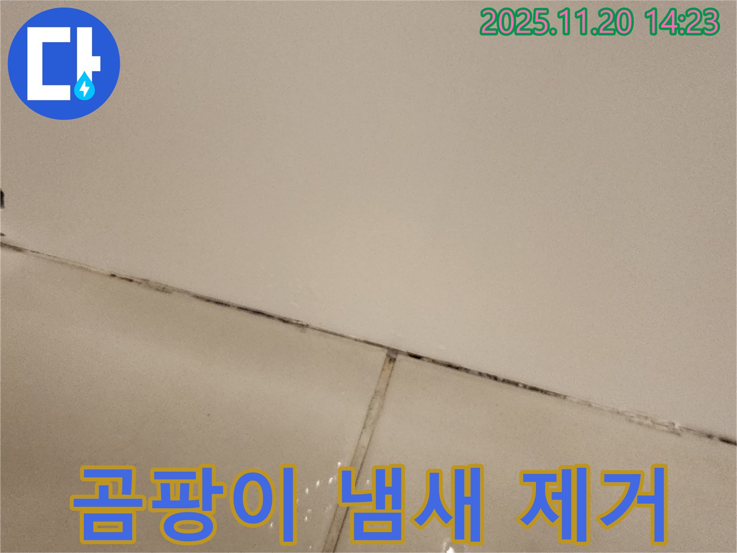 포천 가산면 곰팡이 타일 - 곰팡이 냄새까지 싹!