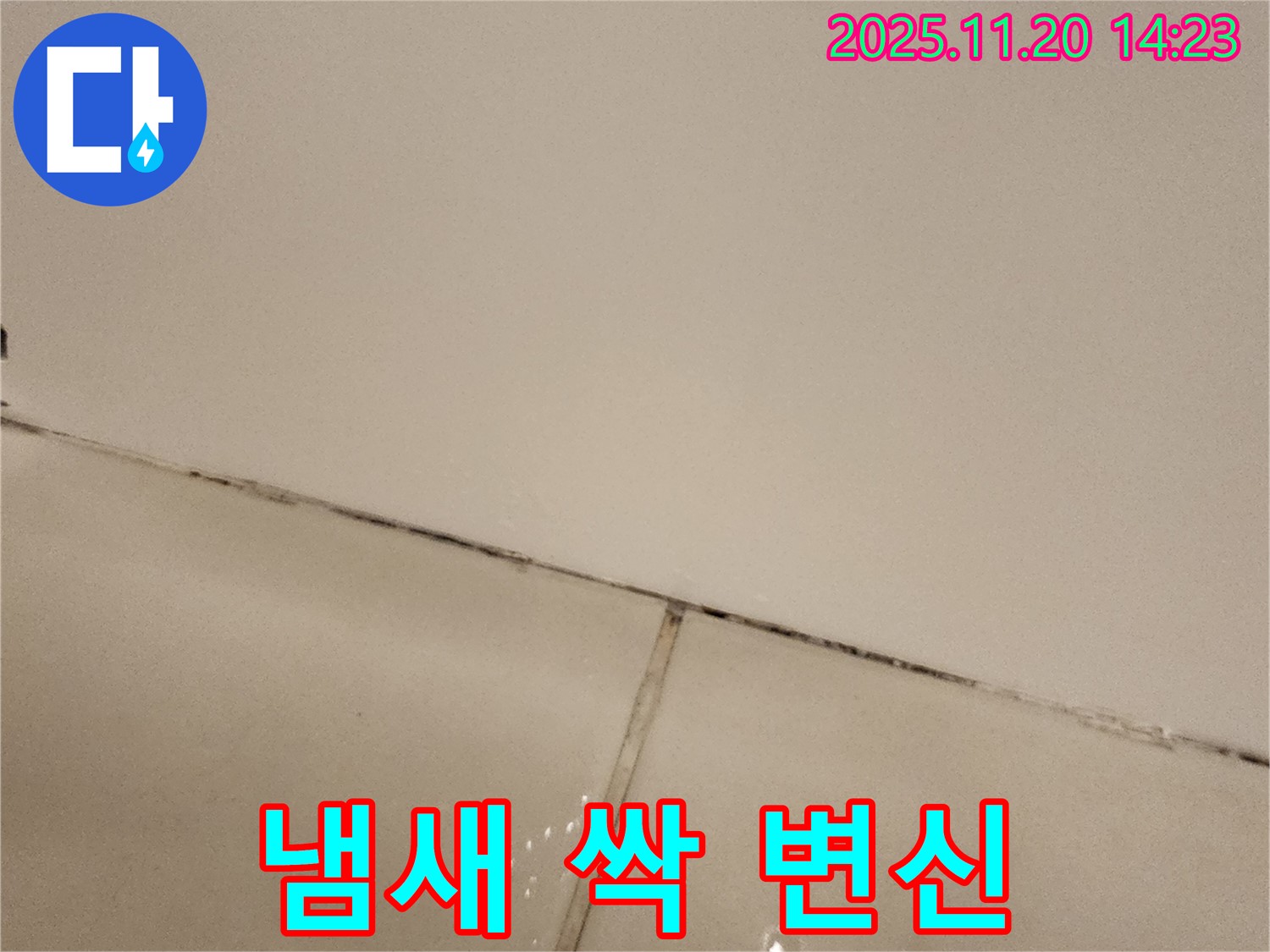 포천 가산면 곰팡이 핀 타일 - 냄새 싹, 변신!