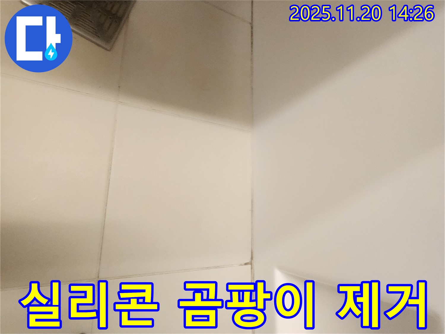 포천 가산면 - 욕실 곰팡이, 실리콘 곰팡이 제거가 핵심입니다!