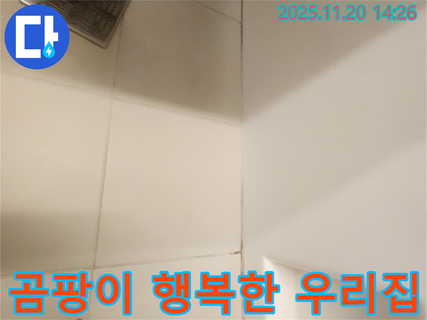 포천 가산면 욕실 - 곰팡이 제거, 쾌적한 욕실에서 행복한 우리집!