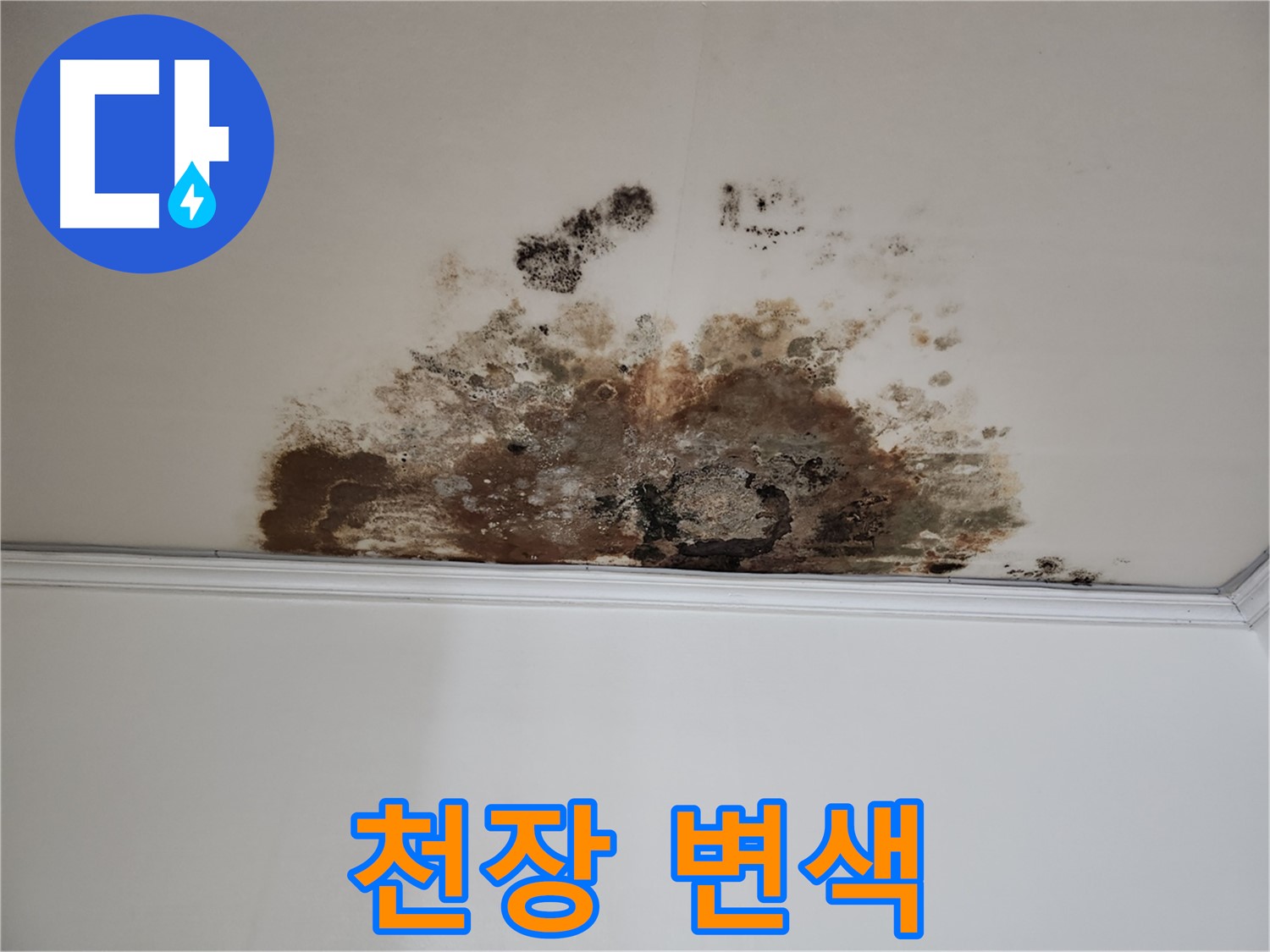 마포 누수 - 곰팡이로 변색된 천장