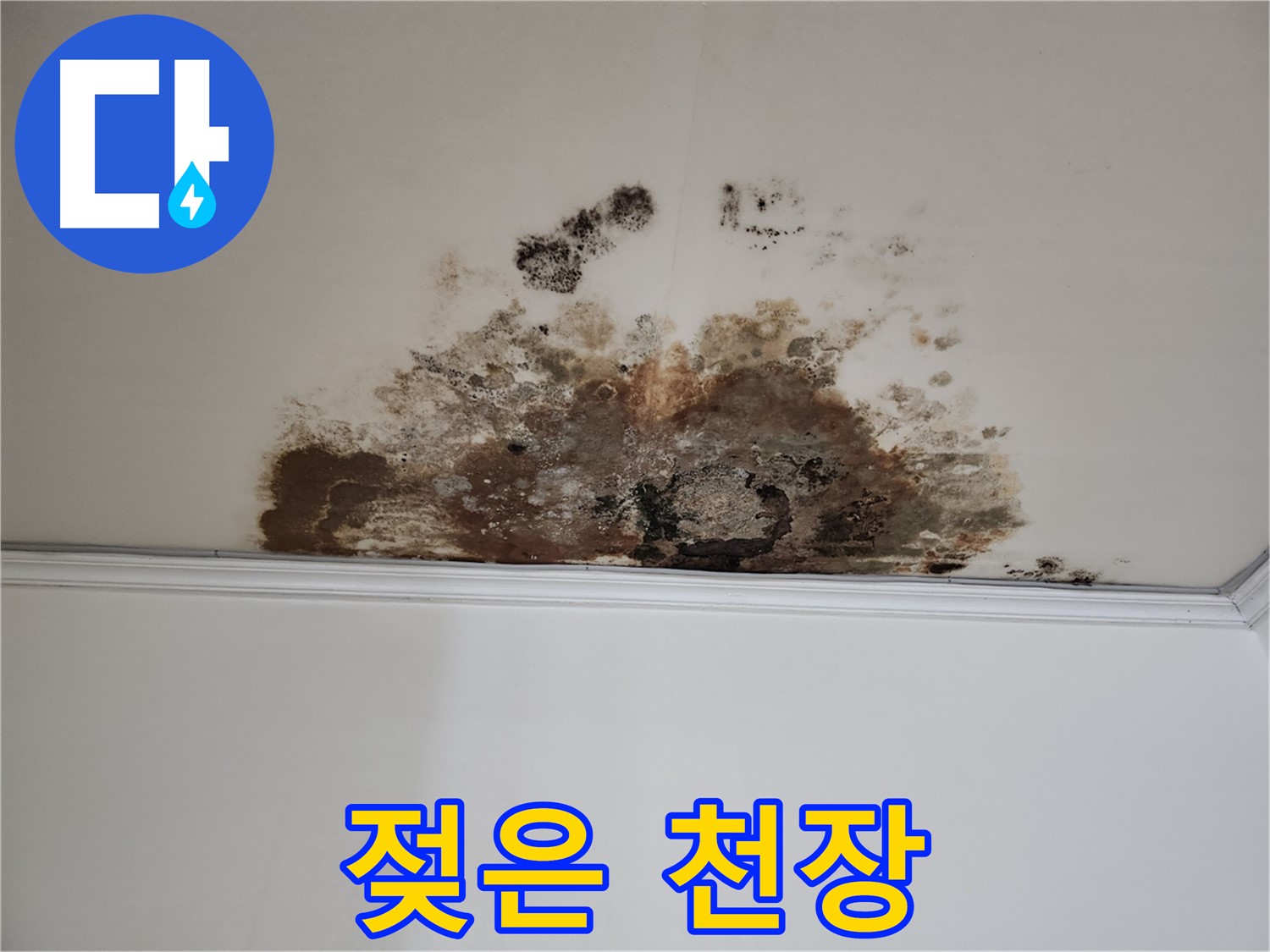 마포 누수 - 젖어있는 천장의 모습