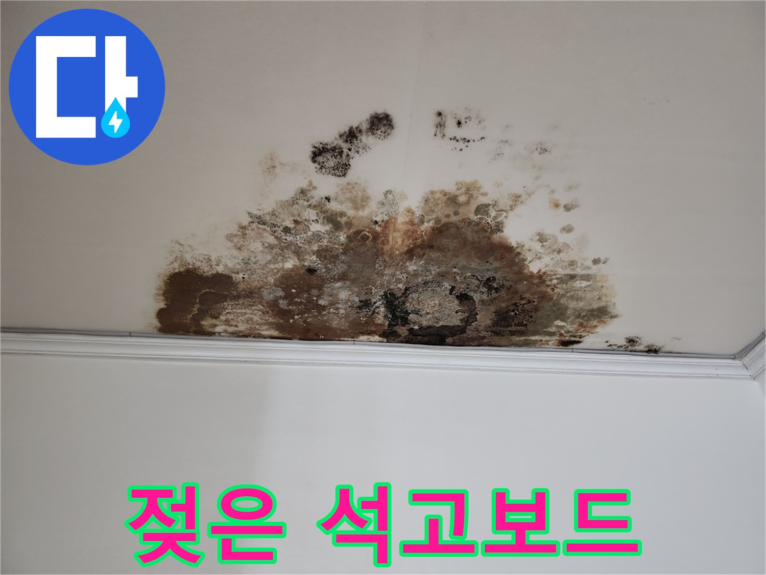 마포구 누수 - 곰팡이, 젖은 석고보드