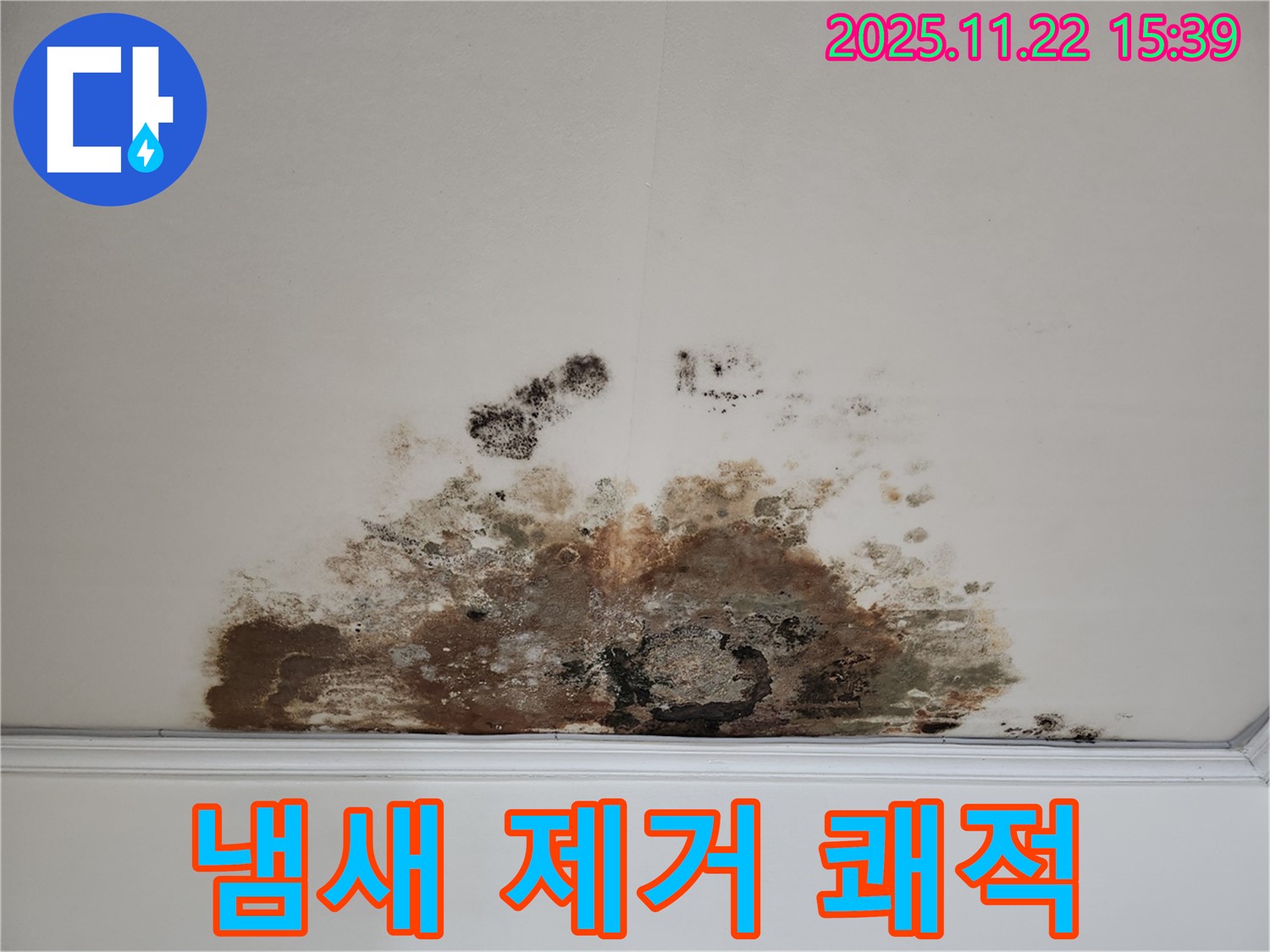 마포구 새창로 아파트 - 곰팡이 천장, 곰팡이 냄새 제거로 쾌적한 실내 환경