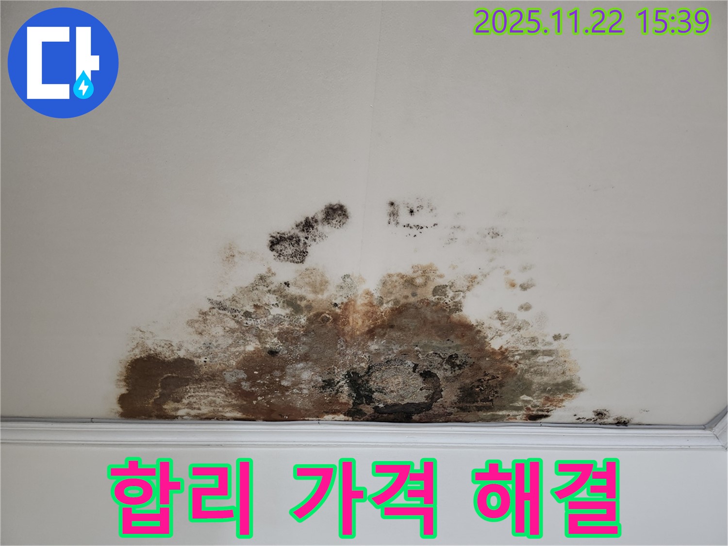 마포구 새창로 아파트 - 곰팡이 천장, 곰팡이 문제, 합리적인 가격으로 해결
