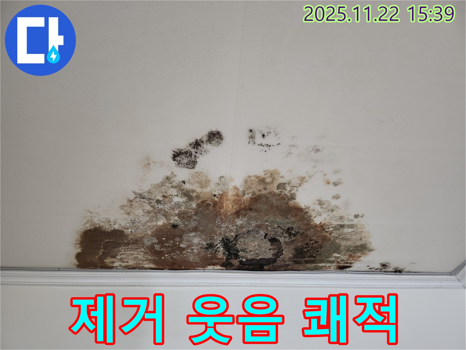마포구 새창로 아파트 - 곰팡이 천장, 곰팡이 제거로 쾌적한 공간에서 건강한 웃음을