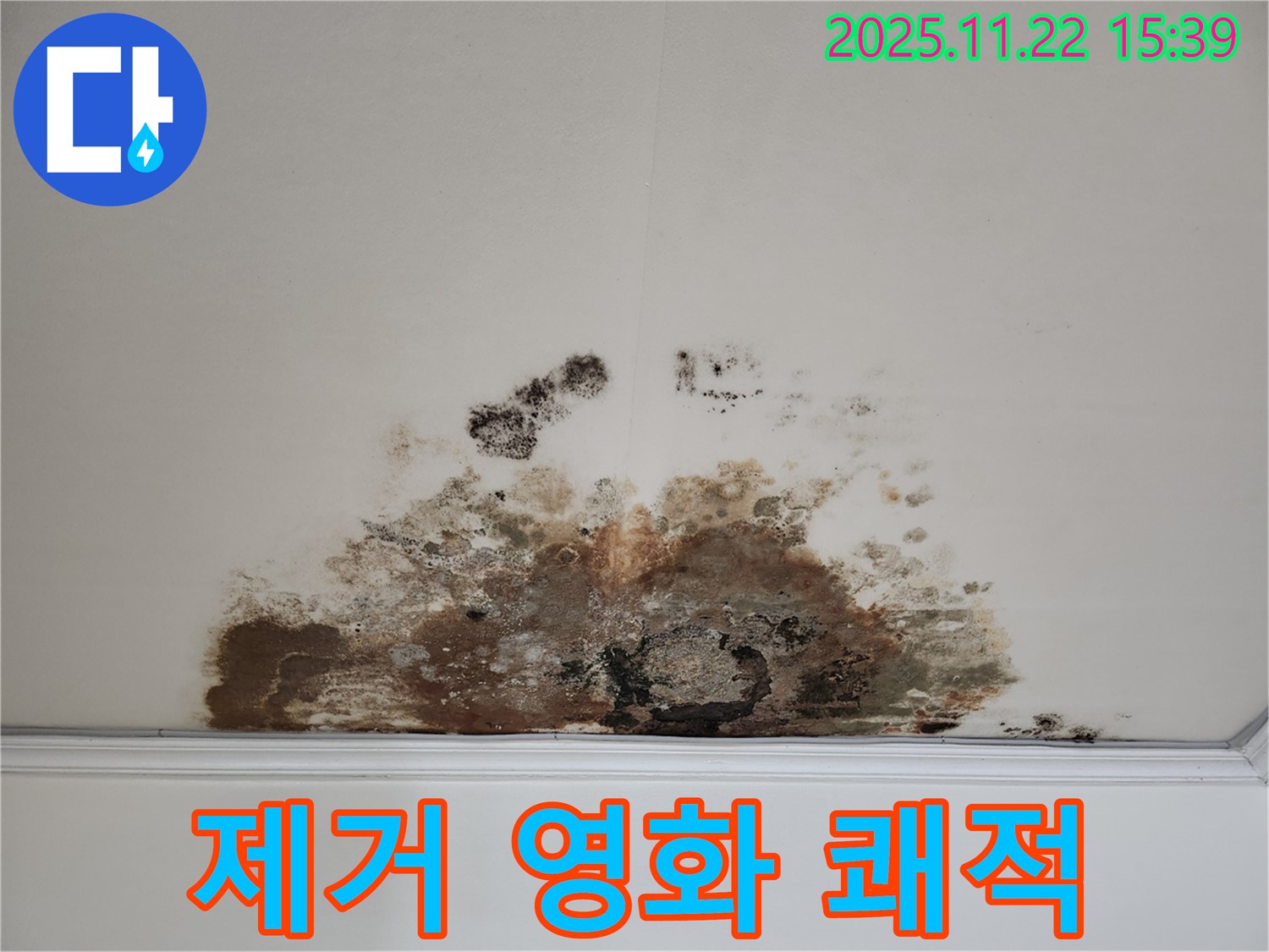 마포구 새창로 아파트 - 곰팡이 천장, 곰팡이 제거로 쾌적한 공간에서 즐거운 영화 감상을