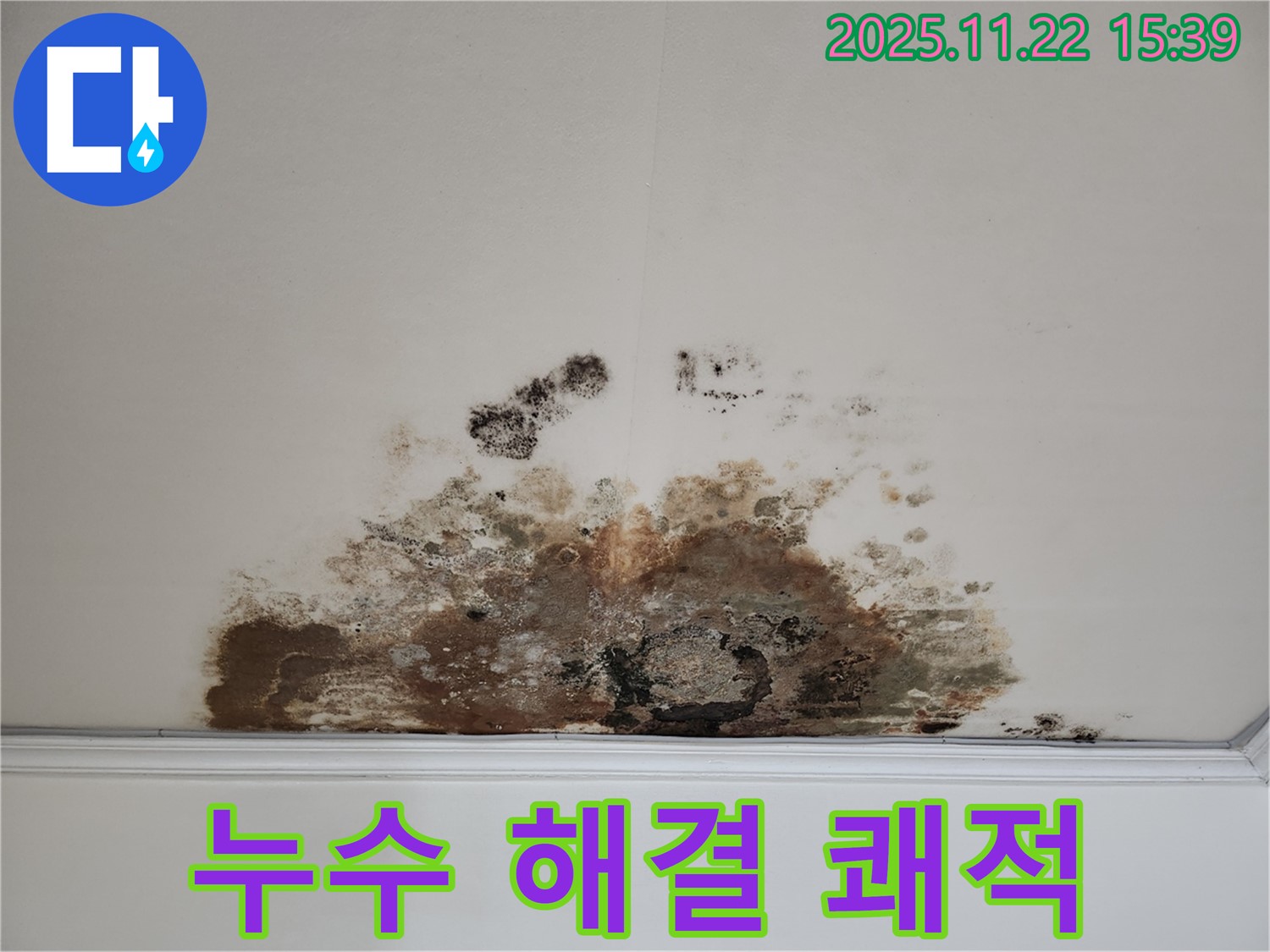 마포구 새창로 아파트 - 곰팡이 천장, 누수 해결로 쾌적한 공간으로 변신