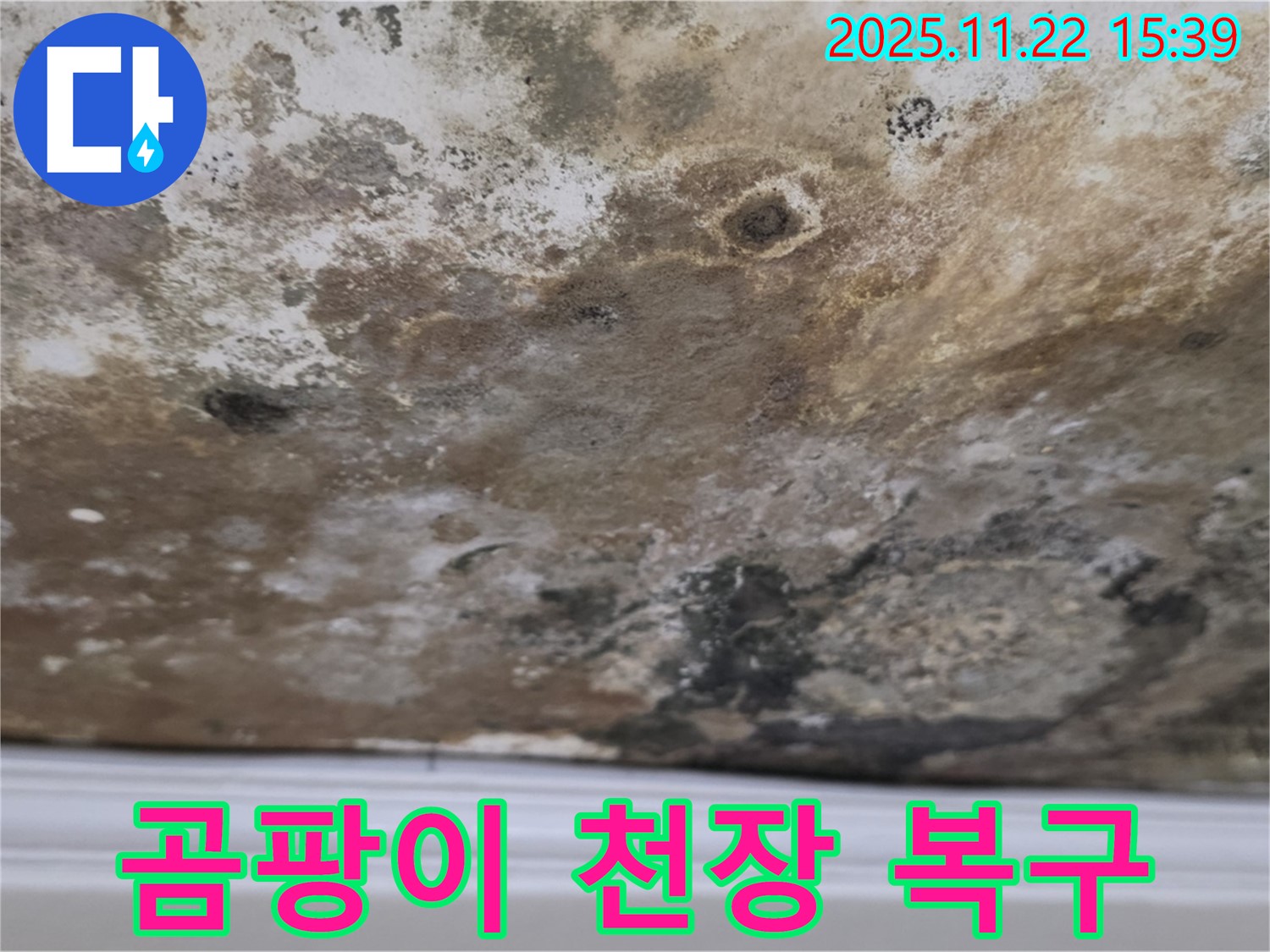 마포구 새창로8길 - 곰팡이 완전 장악, 천장 완전 복구 프로젝트!